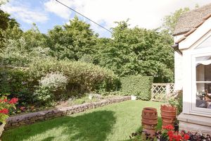 Patio garden- click for photo gallery